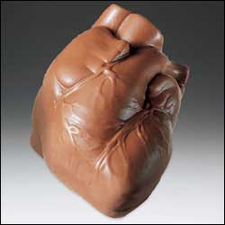 Chocolate Heart-Anatomical Chocolate (Avail Oct-April)